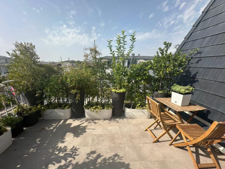 Apartament