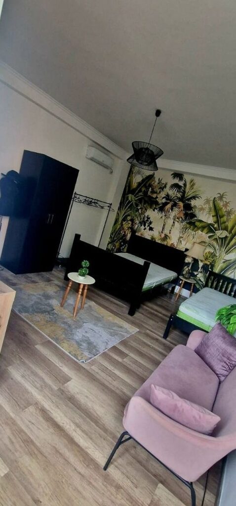 Duplex 1+1 me qira te Stacioni i Trenit, Tiranë – foto 3
