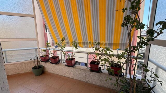 1426917_WhatsApp_Image_2026-09-04_at_15.39.39_3