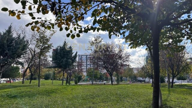 Apartament 1+1 me qira te Fusha e Ali Demit, Tiranë – foto 2