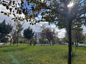 Apartament 1+1 me qira te Fusha e Ali Demit, Tiranë – foto 2