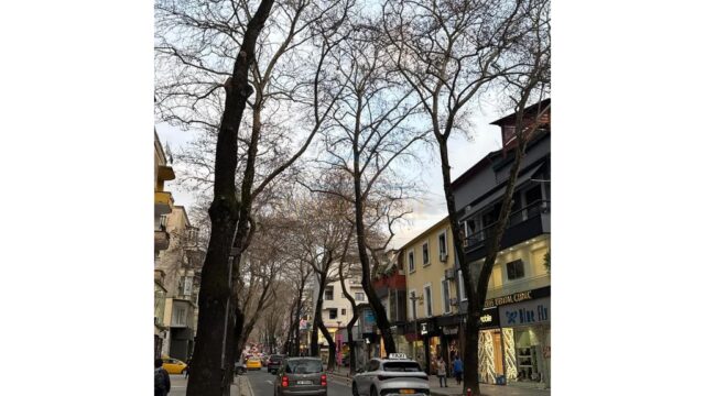 430950_3399ab14-8d0e-4066-9829-fca429170ed4
