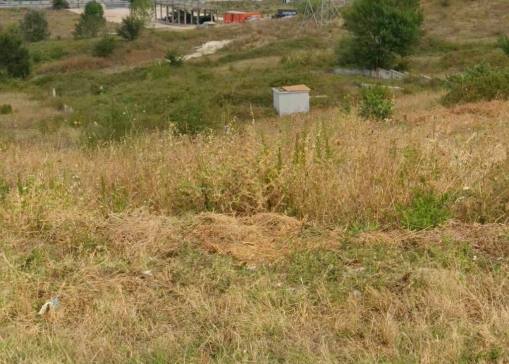 🌿 SHITET | TOKË 6.600 m²