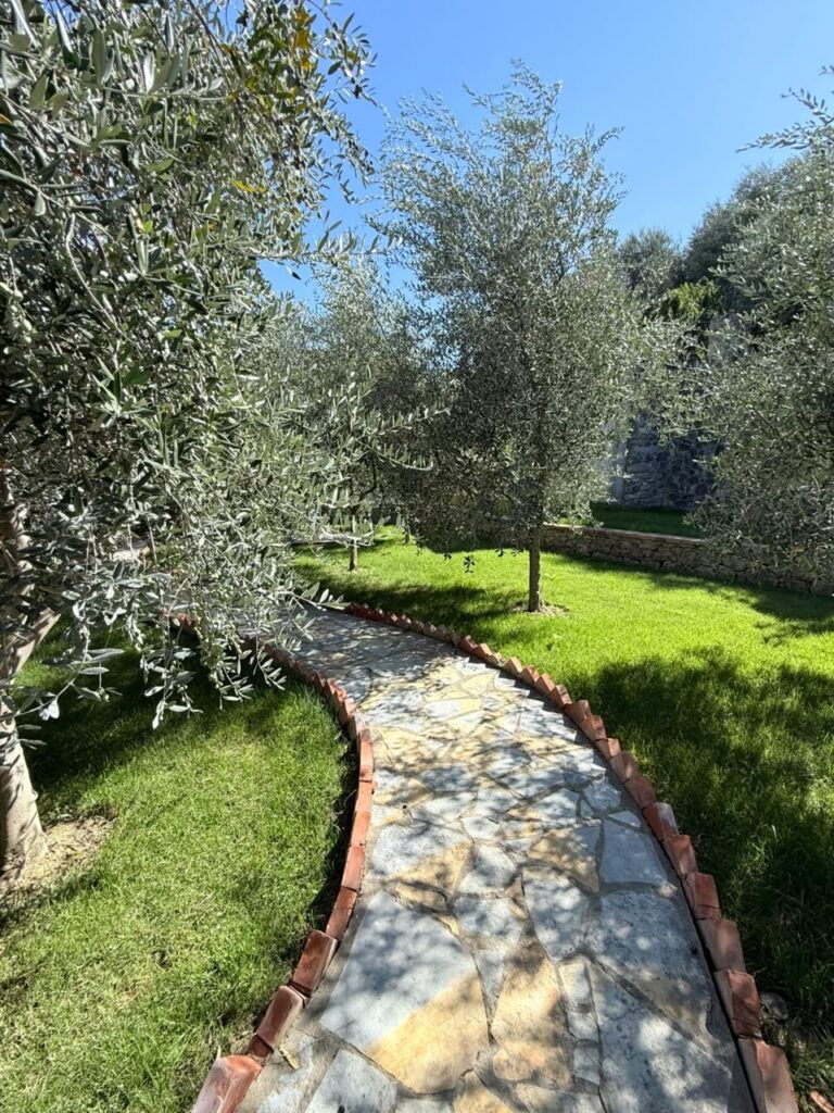 Vilë me qira në Petrelë, Tiranë – foto 2