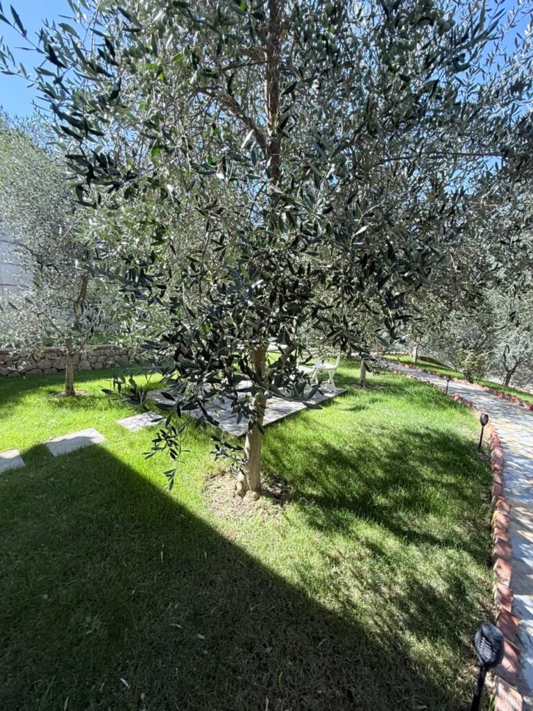 Vilë me qira në Petrelë, Tiranë – foto 1