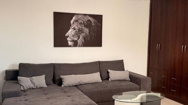 Apartament 1+1 me qira në Rrugën Fortuzi, Qendër, Tiranë – foto 3