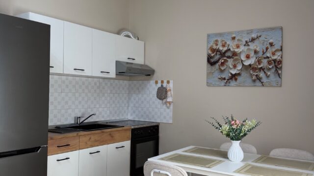 Apartament 1+1 i sapo mobiluar me qira në Tiranë – foto 4
