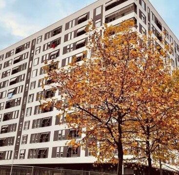 Ambient biznesi në shitje në Rrugën 5 Maji – foto 2