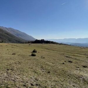 🌿 SHITET TOKË 3,700 m² | SURREL, TIRANË 🏡